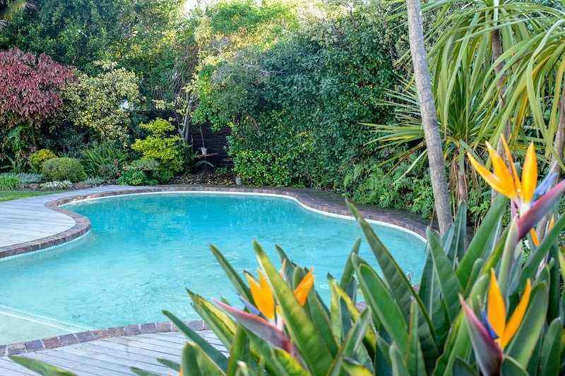 The Best Plants For Swimming Pool Landscaping My Pool Guy - Tropical Plants For Around Pools Australia